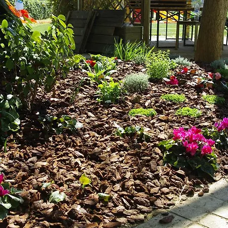 Agriturismo Serena Alloggio per agriturismo *